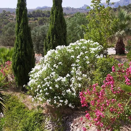 Caserio Del Mirador Country house Jalon
